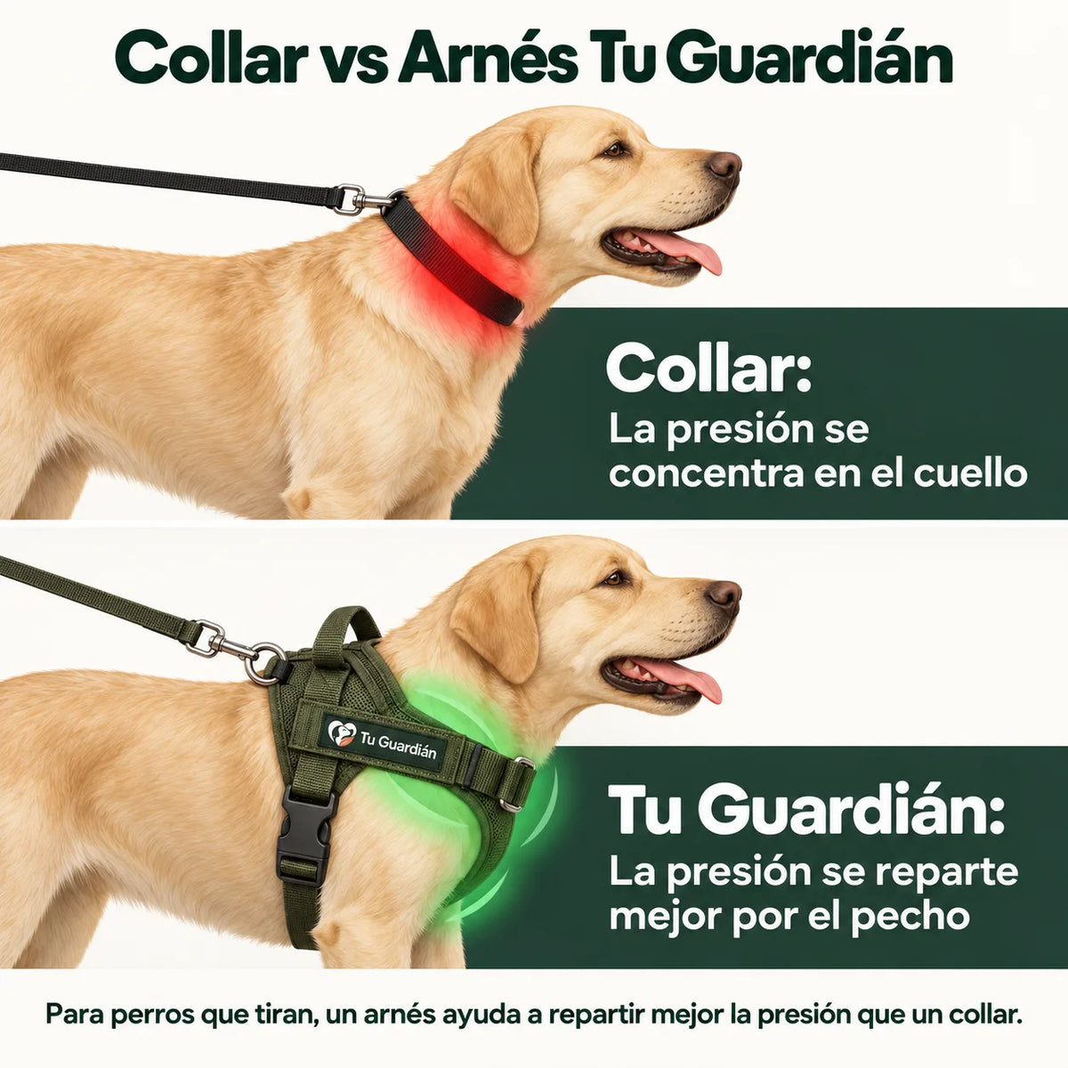 Arnés Anti-Tirones Tu Guardián™