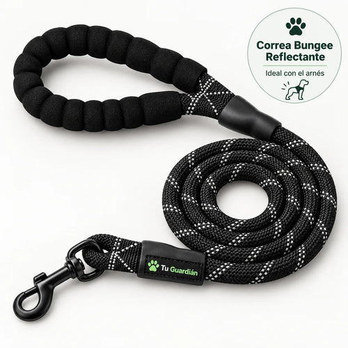 Correa Bungee Reflectante Tu Guardián™